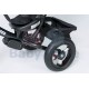 Vaikiškas triratukas TomaBike Little Tiger su apsaugine juosta ir stumimo rankena