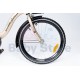 TOMABIKE dviratis 20" PLATINUM GOLD TOMABIKE dviratis 20" PLATINUM GOLD