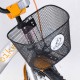 TOMABIKE dviratis 18" PLATINUM ORANGE